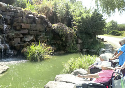 Residents in wheelchairs admiring a pond with koi carp