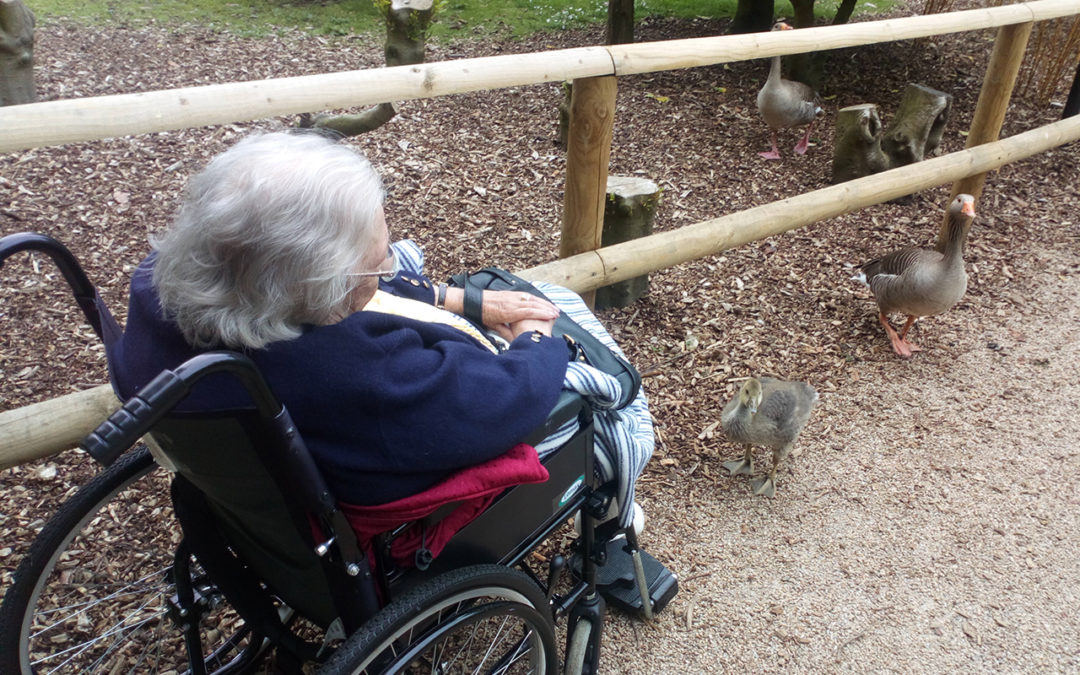 Loose Valley Care Home residents visit Leeds Castle