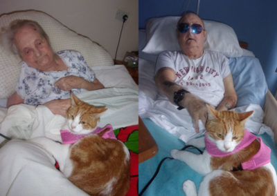 Residents in bed having a cuddle with Oliver the cat