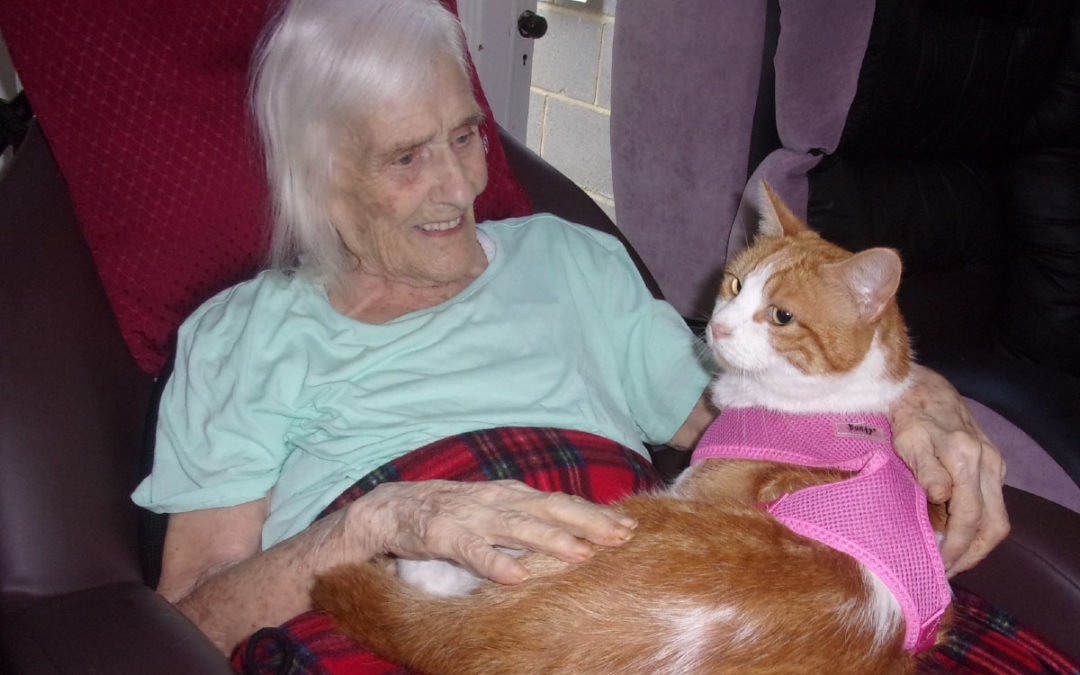 Loose Valley Care Home residents are visited by Oliver the cat