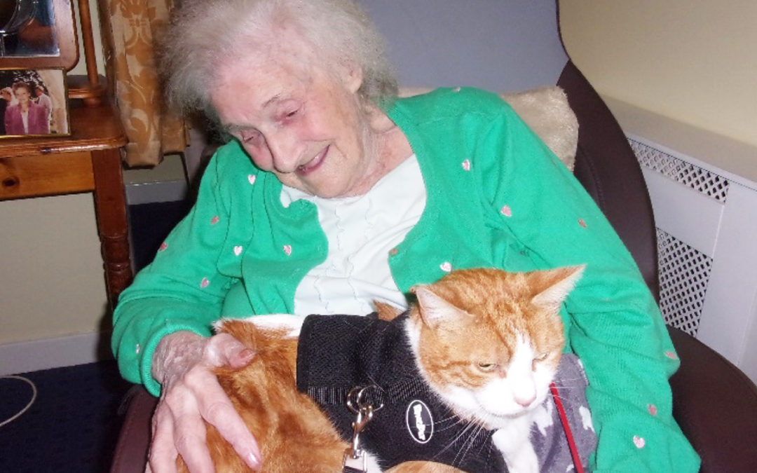 Cuddles with Oliver the cat at Loose Valley Care Home