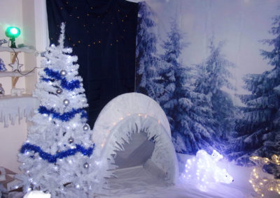 Winter Wonderland at Loose Valley Care Home 4