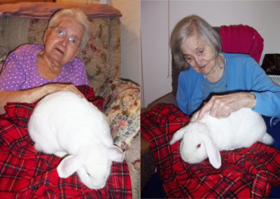 Lady residents at Loose Valley cuddling with a large white rabbit on their laps