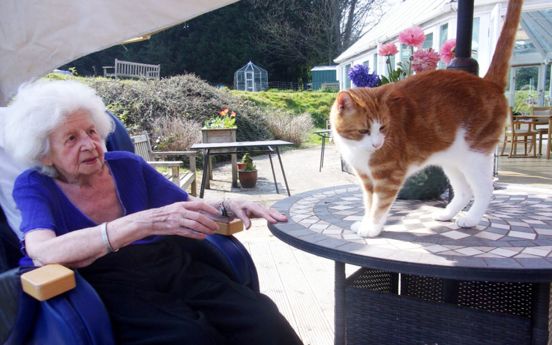 Enjoying the garden with Billy the cat at Loose Valley Care Home