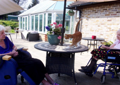 Residents and cat in the garden at Loose Valley Care Home