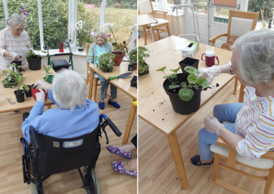 Residents planting pots at Abbotsleigh