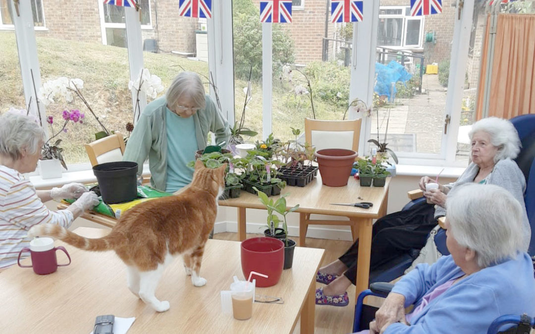 Planting pots and enjoying music at Loose Valley Care Home