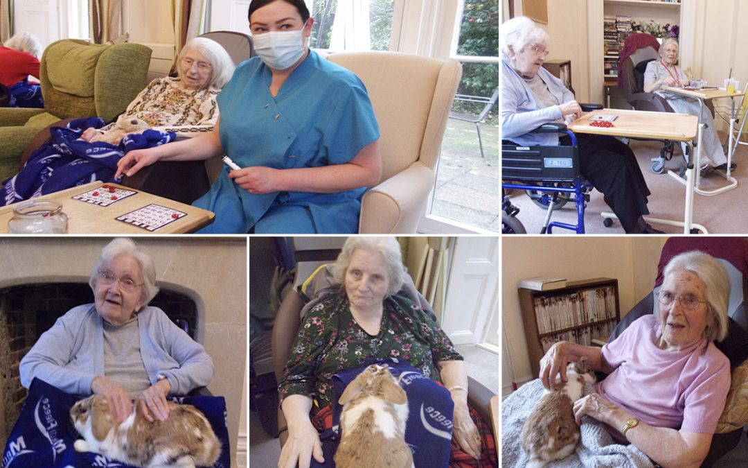 Loose Valley Care Home residents enjoy Bingo and bunny cuddles
