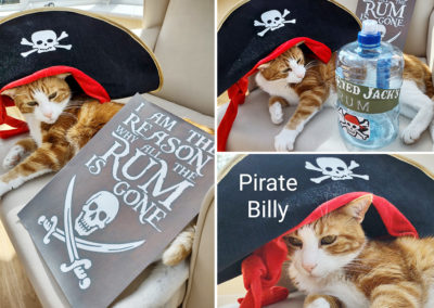 Loose Valley Care Home's cat in pirate fancy dress
