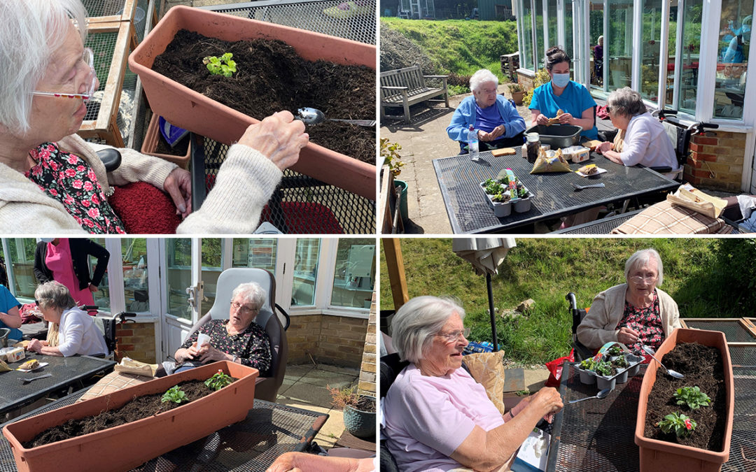 Gardening Club is a success at Loose Valley Care Home