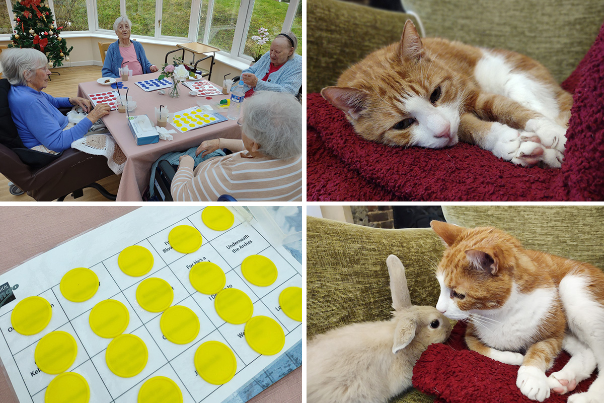 Musical bingo and Billy at Loose Valley Care Home