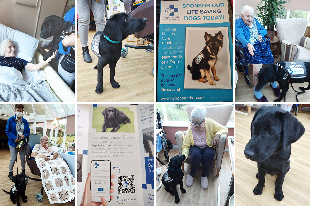 Hypo Hounds visit Loose Valley Care Home