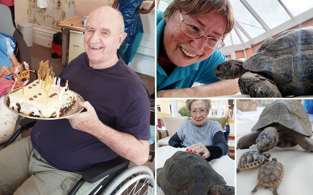 Birthday wishes and tortoise love at Loose Valley Care Home