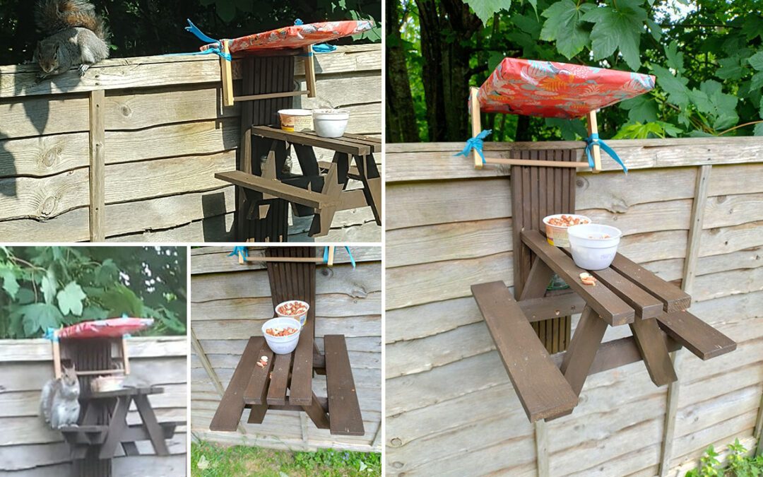Picnic dining for squirrels at Loose Valley Care Home