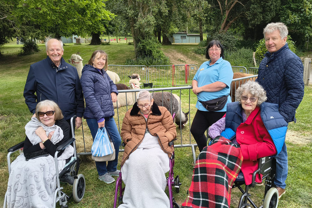 Loose Valley Care Home alpaca experience - 2