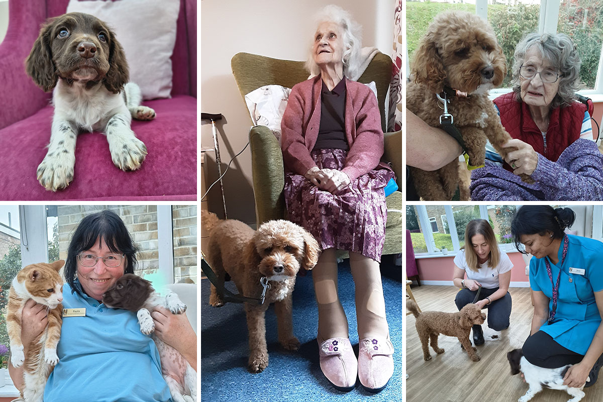Furry friends bring joy and comfort to Loose Valley Care Home residents