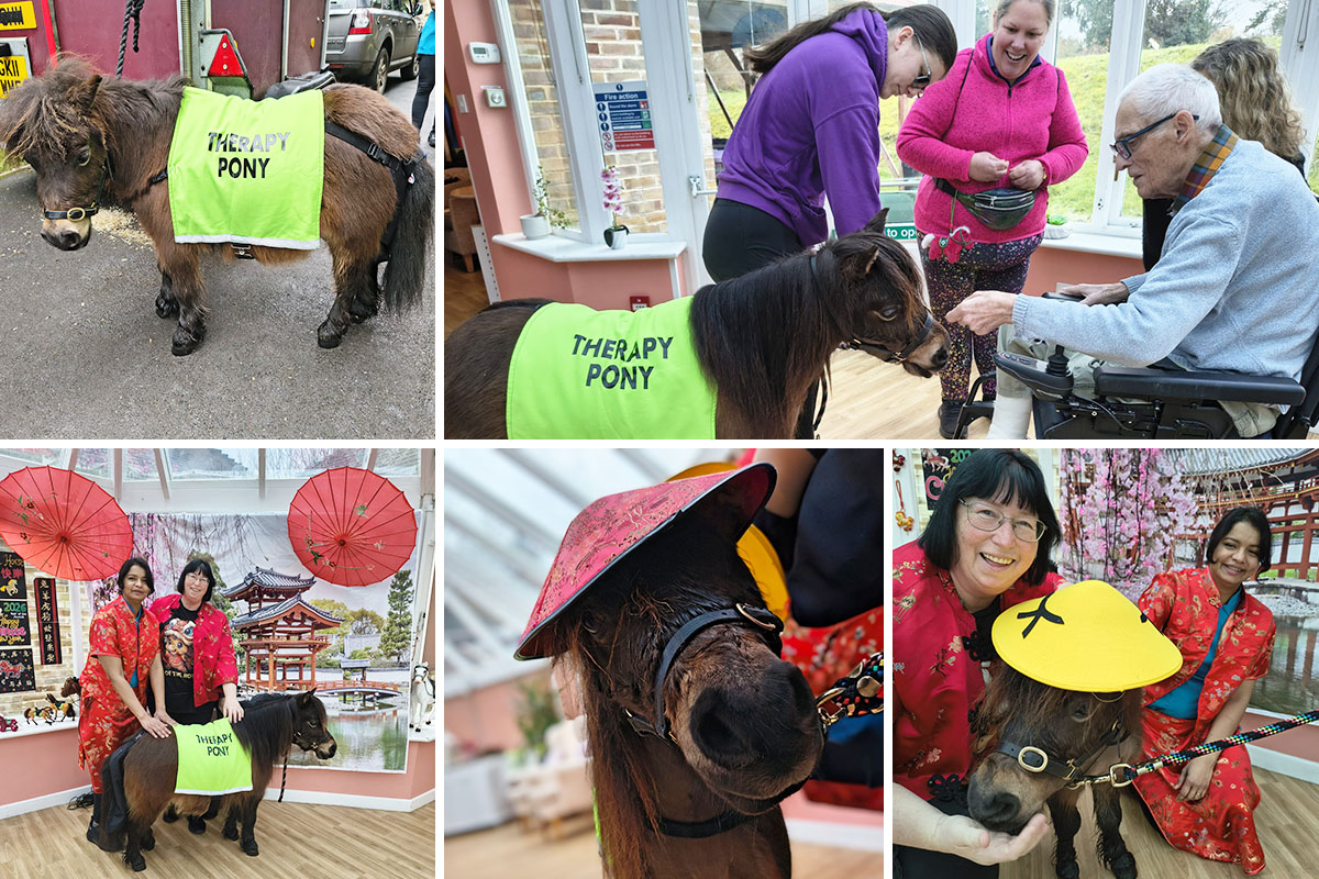 Chinese Year of the Horse at Loose Valley Care Home