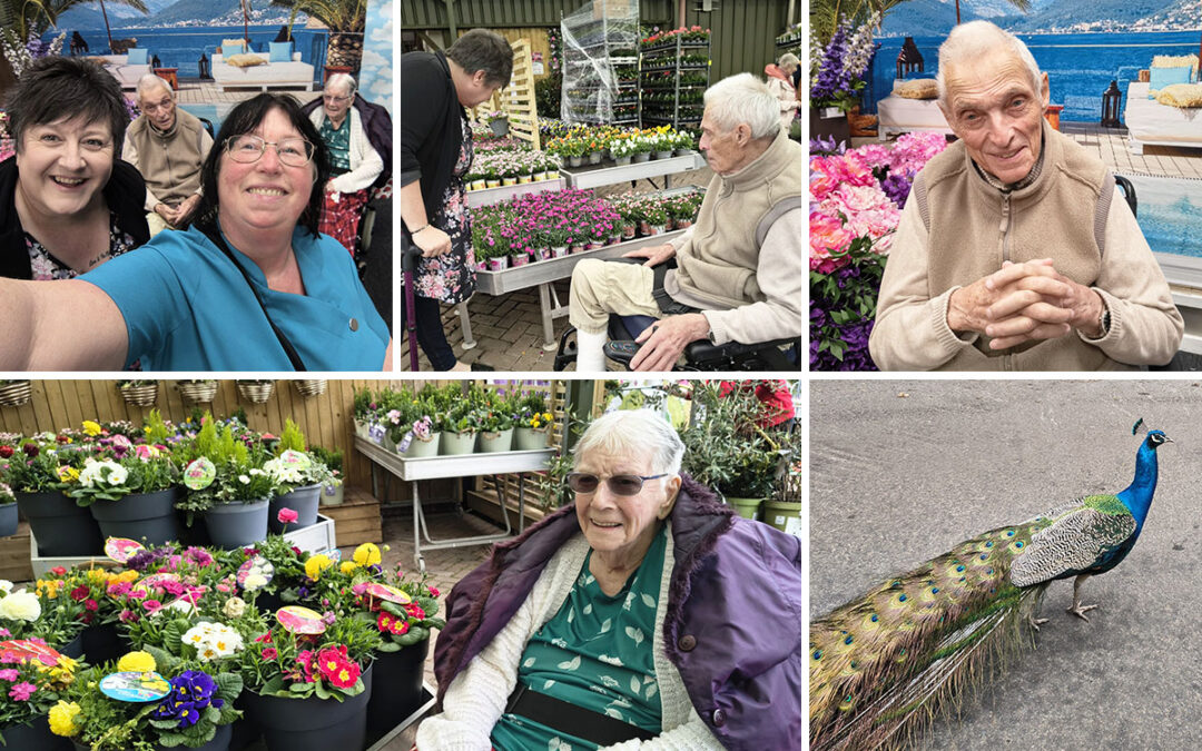 Loose Valley Care Home residents enjoy a nostalgic trip to Boughton Monchelsea